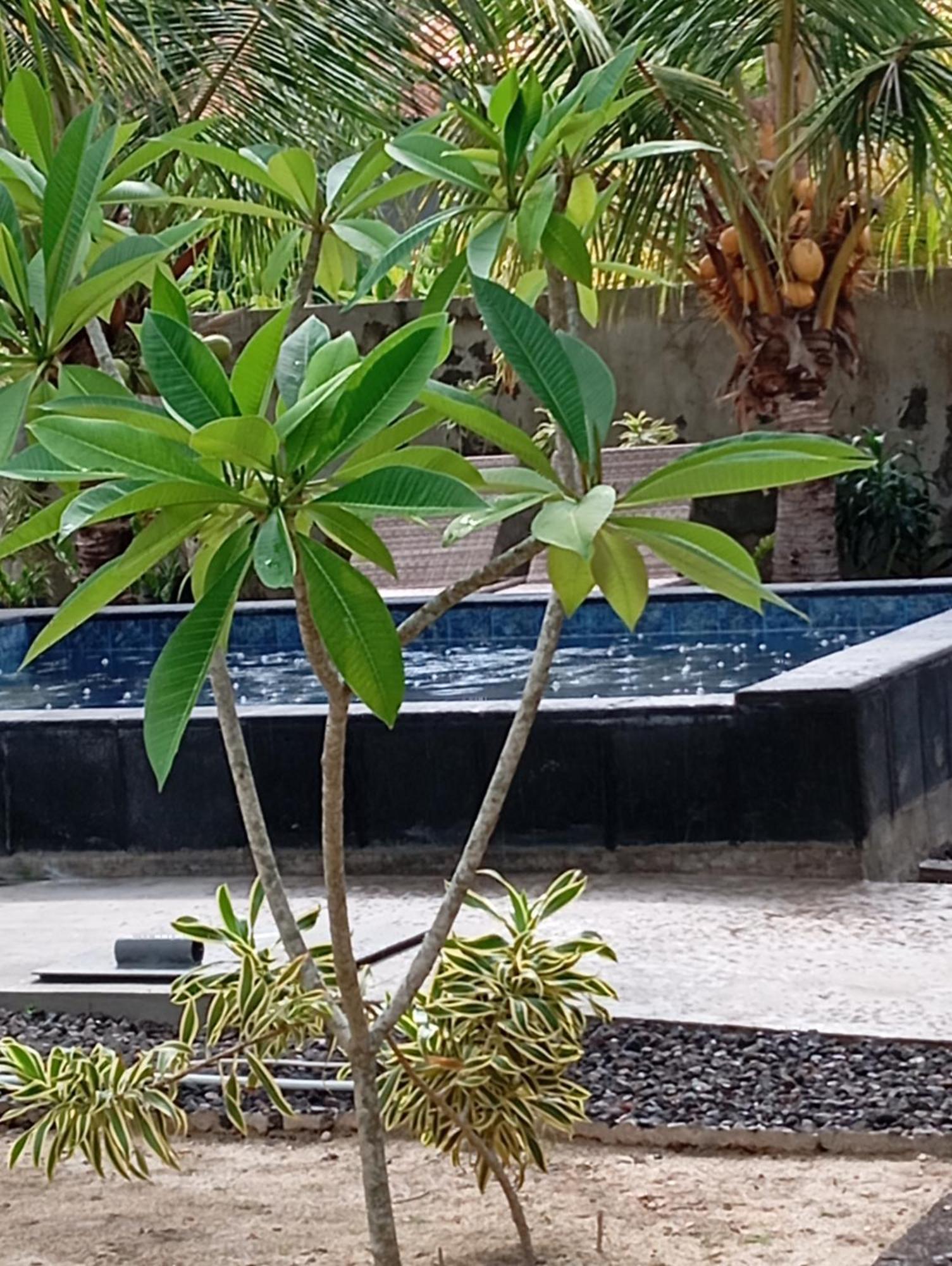 Belong Home Stay Lembongan Экстерьер фото